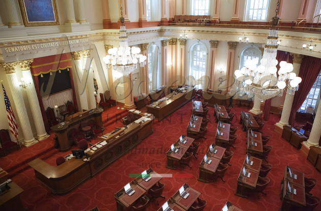 Dark walnut furniture for a state house interior design by Modenese